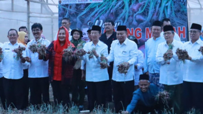 Jaga Ketahanan Pangan dan Tekan Inflasi, Pemkot Semarang Dukung Masjid Lakukan Urban Farming