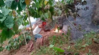 Lagi, Karhutla Landa Kawasan Hutan Produksi di Lumajang, Petugas Kesulitan Lakukan Pemadaman