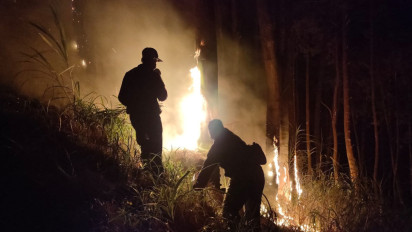 Polisi dan Tim Satgas Karhutla Berhasil Padamkan Kebakaran di Jabung, Kabupaten Malang