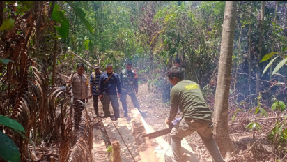 Berikan Efek Jera ke Pelaku Illegal Logging, Tim Patroli Gabungan Amankan Puluhan Kayu Pembalakan Liar