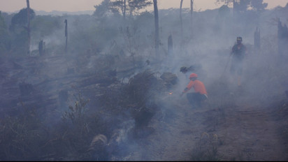 Sempat Padam Dua Pekan Lalu, Hutan Pinus di Lumajang Kini Terbakar Lagi Bahkan Semakin Meluas