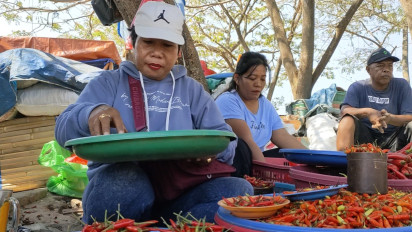 Harga Cabai di Baubau Naik Gila-gilaan, Tembus Rp 300 Ribu Perkilogram