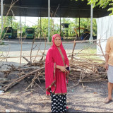 Timbulkan Bau Tidak Sedap, Gudang Cangkang Sawit di Papalang Ditutup Paksa Warga