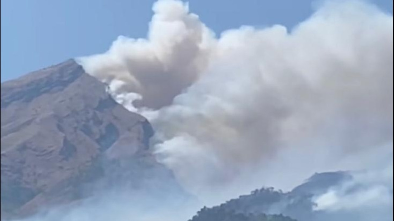 Kebakaran Meluas Hingga ke Puncak Gunung Merbabu, Dipicu Kencangnya Angin
            - galeri foto