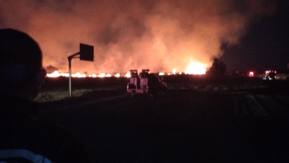 Musim Kemarau, Lahan Bandara di Banyuwangi Terbakar Hebat