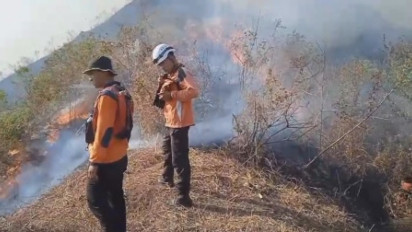 Kebakaran Hutan Gunung Anjasmoro di Jombang Berhasil Dipadamkan