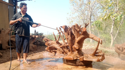 Produk Kerajinan Akar Jati Blora Tembus Pasar Luar Negeri