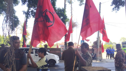 Polemik Pencabutan Bendera PDIP dan Baliho Ganjar-Mahfud di Kunjungan Jokowi, Ini Penjelasan Satpol PP Bali