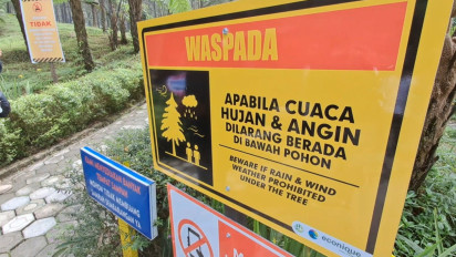 Paska Insiden Jembatan Kaca The Geong, Wisata Hutan Pinus Limpakuwus Banyumas Akan Dibuka Kembali