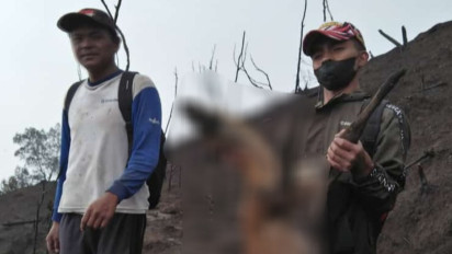 Satwa Liar Merbabu Ditemukan Mati Paska Kebakaran Hutan Gunung Merbabu
