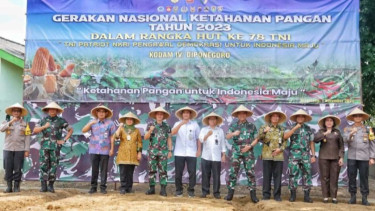 Dukung Gerakan Nasional Ketahanan Pangan, Kodim 0705/Magelang Manfaatkan Lahan Kosong