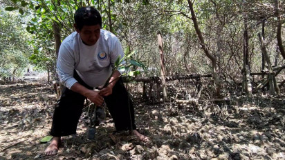 Tanam 40.000 Ribu Mangrove di Pesisir Pantai Utara, Warga Pati Terima Penghargaan Kalpataru