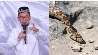 Jangan Asal Bunuh Ular yang Masuk ke Rumah, Ustaz Adi Hidayat Peringatkan Hal Penting Ini, Sebaiknya ..