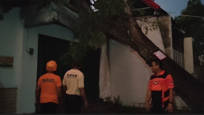 Hujan Es Disertai Angin Puting Beliung di Madiun Rusak Puluhan Rumah dan Tumbangkan Pohon Serta Tiang Listrik