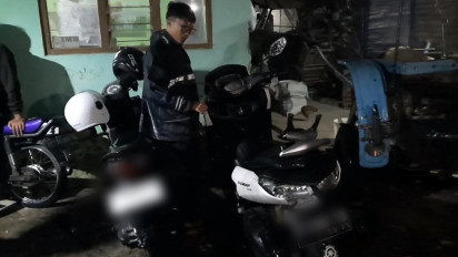 Pohon Tumbang Timpa Pemotor, Korban Meninggal Dunia