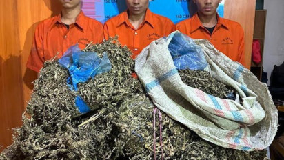 Satu Karung Goni Ganja Hendak Dikirim ke Sumatera Barat Digagalkan Polisi, 3 Kurir Ditangkap