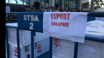 Labuan Bajo Lakukan Ekspor Ikan Pertama Kali