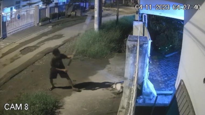Sadis Disiksa Sampai Mati, Aksi Pria Curi Anjing di Medan Terekam CCTV