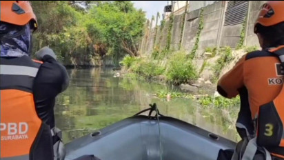 Tim BPBD Surabaya Berburu Buaya di Sungai Medokan Semampir yang Resahkan Warga