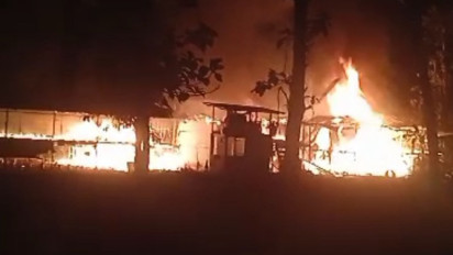 Diduga Korsleting Listrik, Kandang Berisi 14 Ribu Ayam di Balong Ponorogo Ludes Terbakar