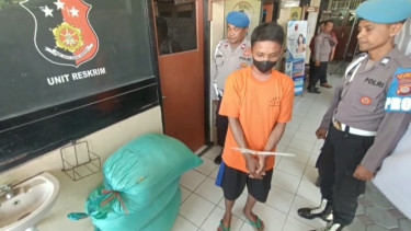 Harga Beras Mahal, Warga Kulon Progo Nekat Curi Gabah Petani Sleman
