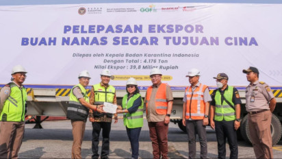 Mantap! Lampung Lepas Ekspor Nanas 4.176 Ton ke Pasar Cina