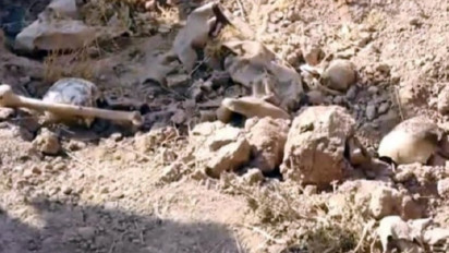 Terus Dihujani Bom Israel Selama Tiga Hari, Kemenkes Palestina Putuskan Buat Kuburan Masal di Komplek RS Al-Shifa