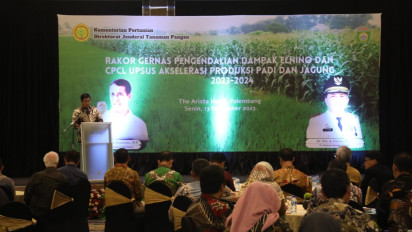 Kebut Realisasi Optimalisasi Padi Rawa, Mentan Amran Langsung Koordinasi Di Sumsel