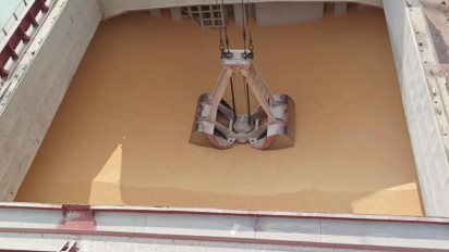 20 Ribu Ton Jagung Pakan Ternak dari Argentina Tiba di Pelabuhan Teluk Lamong