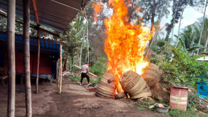 Tegas! Polres Malang Bongkar dan Bakar Arena Sabung Ayam di Wonokerto Bantur