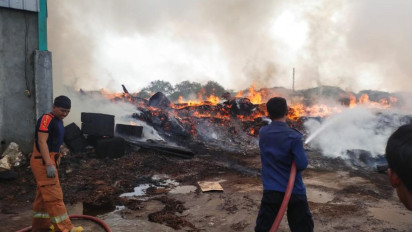 Gunungan Limbah Kayu PT Asia Raya Industri Terbakar Hebat, Damkar Gresik Berjibaku Padamkan Api