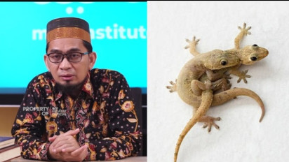 Jangan Sepelekan Jika Terdapat Banyak Cicak di Rumah Anda, Ada Bahaya Mengintai, Ini Penjelasan Ustaz Adi Hidayat