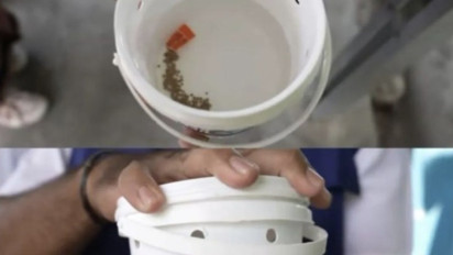 Kemenkes Sebut Masyarakat Tak Perlu Khawatir soal Penyebaran Nyamuk Berbakteri Wolbachia: Itu Bakteri Alami, Bukan Hasil Rekayasa Genetik