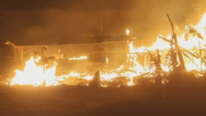 Kandang Ayam di Jombang Terbakar, Ribuan Ekor Ayam Mati Terpanggang