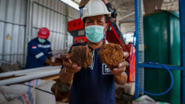 Sabut Kelapa Bisa Disulap Jadi Bahan Bakar Terbarukan
