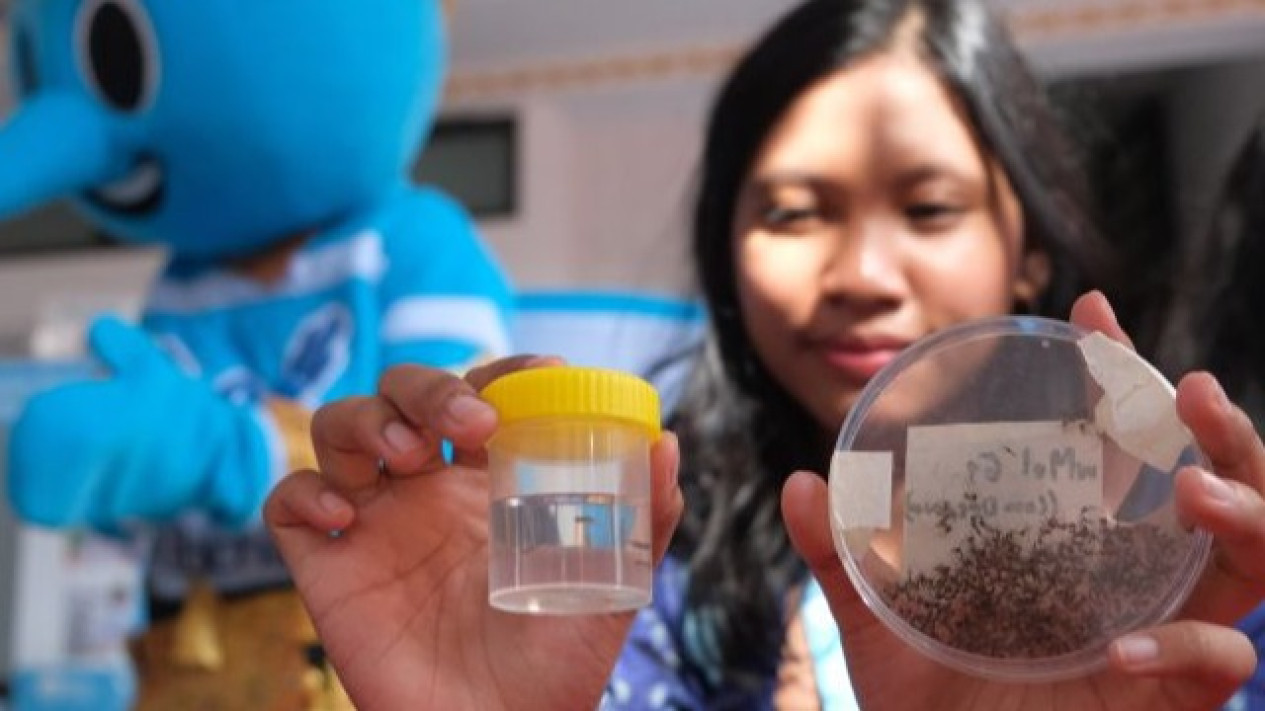 Wanti-wanti Kemenkes soal Penyebaran Nyamuk Wolbachia, Ternyata
            - galeri foto