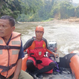 Berenang, Seorang Bocah di Merangin Jambi Hilang Terbawa Arus Sungai Batang Merangi