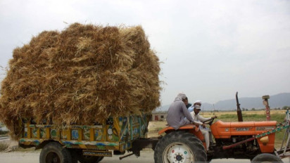 Pabrik Gandum Terbesar di Gaza Dibom Israel, PBB:  Jalur Gaza akan Menghadapi Kelaparan