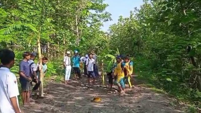Viral, Belasan Siswa di Bojonegoro Bolos, Tanam Pisang di Tengah Jalan, Ini Penyebabnya