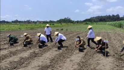 Genjot Produksi Gula Nasional, Kementan akan Perluas Lahan Tebu dan Bangun Pabrik Baru