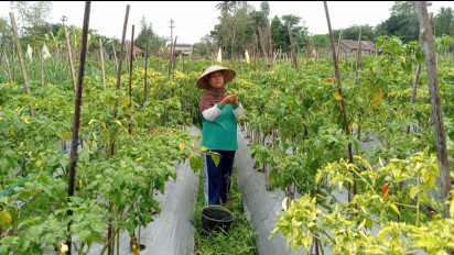 BKK Dana Keistimewaan Urusan Pertanahan Mampu Sejahterakan Masyarakat DIY