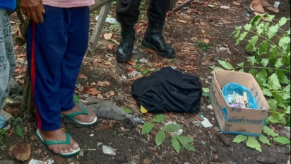 Miris, Orok Bayi Dibuang di Tepi Jalan, Hancur Tergilas Mobil 