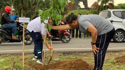 Tingkatkan Kenyamanan, Bandara Sultan Hasanuddin Ditanami Pohon Tabebuya Mirip Sakura