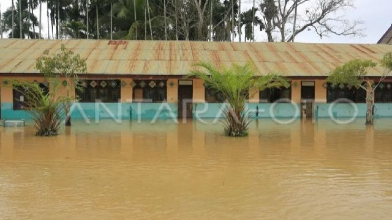 36 Sekolah di Aceh Barat Lumpuh Akibat Terendam Banjir
            - galeri foto