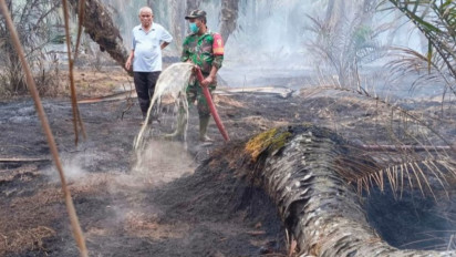 Mukomuko Diliputi Kabut Asap Akibat Kebakaran Lahan Gambut