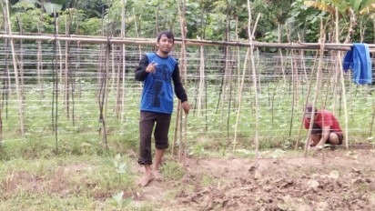 Potret Hari Guru, Bekerja Puluhan Tahun, Seorang Guru Honorer Begaji Rp500 Ribu Per 3 Bulan