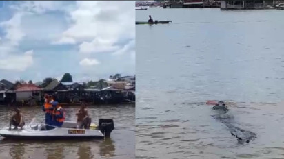 Bocah 10 Tahun Hilang Diseret Buaya Saat Mandi di Sungai Arut