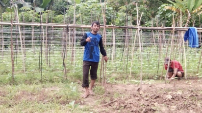 Gaji Rp500 Ribu per 3 Bulan, Seorang Guru Terpaksa Nyambi Jadi Petani Sayuran