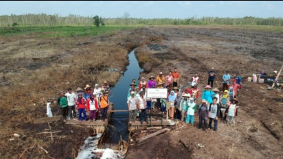 Samakan Food Estate dengan Tanam Paksa Zaman Belanda, Pakar IPB  Ini Paparkan Alasan Buyarnya Mimpi Kedaulatan Pangan Jokowi