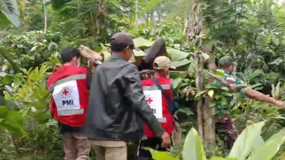 Hampir Sepekan Tersesat, Pria Alami Depresi Ditemukan Tewas di Hutan Kaki Gunung Semeru, Polisi : Diduga Akibat Kelaparan